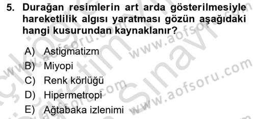 Hareketli Görüntünün Tarihi Dersi 2025 - 2026 Yılı (Vize) Ara Sınav Soruları 5. Soru
