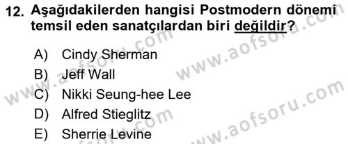 Fotoğraf Tarihi Dersi 2018 - 2019 Yılı 3 Ders Sınav Soruları 12. Soru
