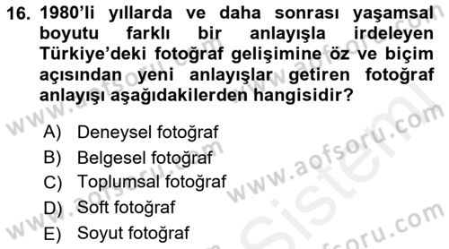Fotoğraf Tarihi Dersi 2018 - 2019 Yılı (Final) Dönem Sonu Sınav Soruları 16. Soru
