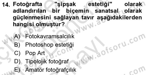 Fotoğraf Tarihi Dersi 2021 - 2022 Yılı (Final) Dönem Sonu Sınav Soruları 14. Soru