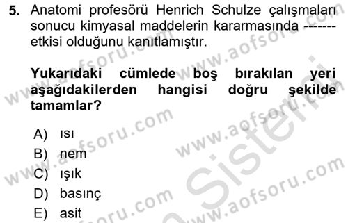 Fotoğraf Tarihi Dersi Ara Sınavı Deneme Sınav Soruları 5. Soru