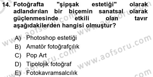 Fotoğraf Tarihi Dersi 2023 - 2024 Yılı Yaz Okulu Sınav Soruları 14. Soru