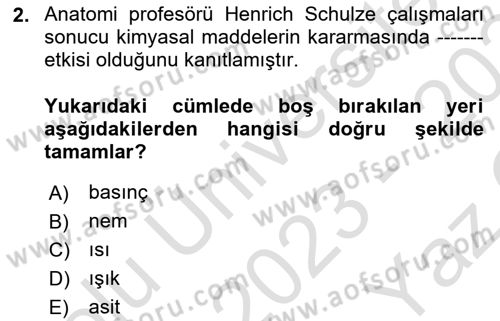 Fotoğraf Tarihi Dersi 2023 - 2024 Yılı Yaz Okulu Sınav Soruları 2. Soru
