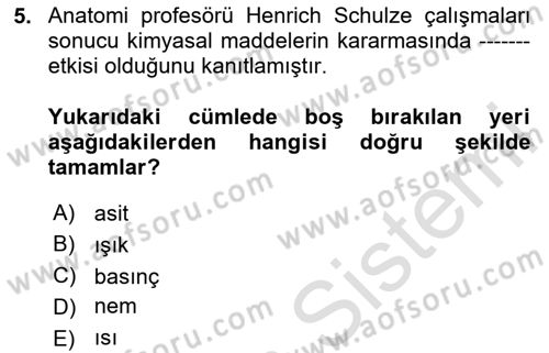 Fotoğraf Tarihi Dersi 2024 - 2025 Yılı (Vize) Ara Sınav Soruları 5. Soru