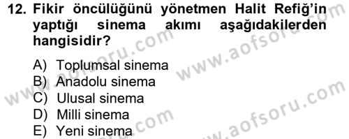 Film ve Video Kültürü Dersi 2012 - 2013 Yılı (Vize) Ara Sınav Soruları 12. Soru