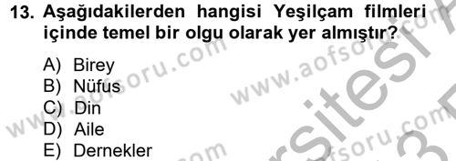 Film ve Video Kültürü Dersi 2012 - 2013 Yılı (Vize) Ara Sınav Soruları 13. Soru