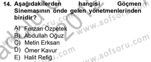 Film ve Video Kültürü Dersi 2012 - 2013 Yılı (Vize) Ara Sınav Soruları 14. Soru