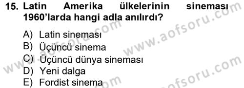 Film ve Video Kültürü Dersi 2012 - 2013 Yılı (Vize) Ara Sınav Soruları 15. Soru
