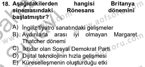 Film ve Video Kültürü Dersi 2012 - 2013 Yılı (Vize) Ara Sınav Soruları 18. Soru