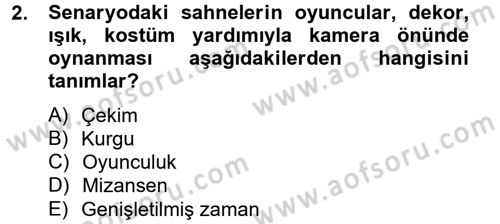 Film ve Video Kültürü Dersi 2012 - 2013 Yılı (Vize) Ara Sınav Soruları 2. Soru