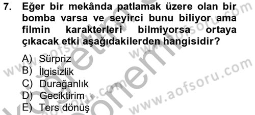 Film ve Video Kültürü Dersi 2012 - 2013 Yılı (Vize) Ara Sınav Soruları 7. Soru
