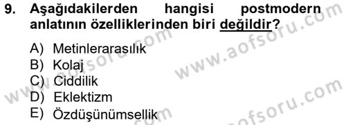 Film ve Video Kültürü Dersi 2012 - 2013 Yılı (Vize) Ara Sınav Soruları 9. Soru