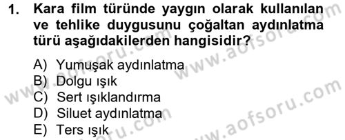 Film ve Video Kültürü Dersi 2012 - 2013 Yılı (Final) Dönem Sonu Sınav Soruları 1. Soru