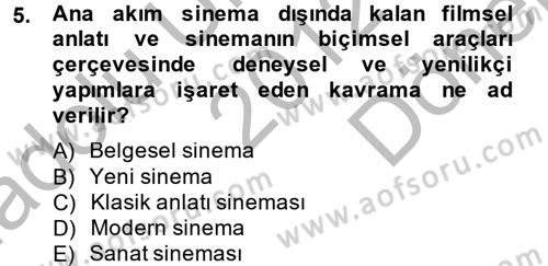 Film ve Video Kültürü Dersi 2012 - 2013 Yılı (Final) Dönem Sonu Sınav Soruları 5. Soru