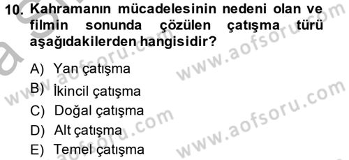 Film ve Video Kültürü Dersi 2013 - 2014 Yılı (Vize) Ara Sınav Soruları 10. Soru