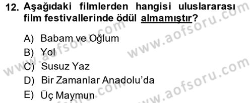 Film ve Video Kültürü Dersi 2013 - 2014 Yılı (Vize) Ara Sınav Soruları 12. Soru