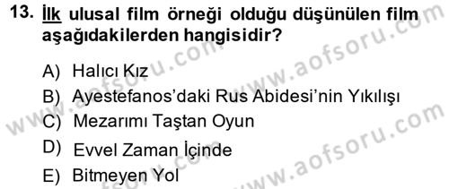 Film ve Video Kültürü Dersi 2013 - 2014 Yılı (Vize) Ara Sınav Soruları 13. Soru