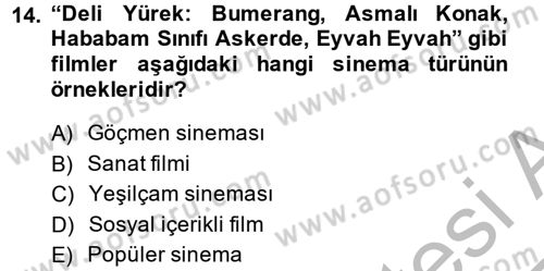 Film ve Video Kültürü Dersi 2013 - 2014 Yılı (Vize) Ara Sınav Soruları 14. Soru