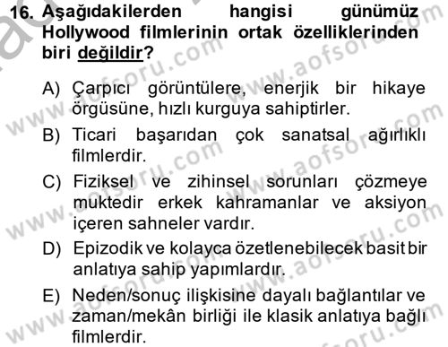 Film ve Video Kültürü Dersi 2013 - 2014 Yılı (Vize) Ara Sınav Soruları 16. Soru