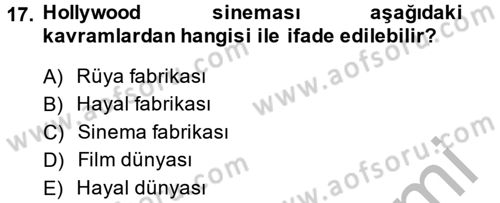 Film ve Video Kültürü Dersi 2013 - 2014 Yılı (Vize) Ara Sınav Soruları 17. Soru
