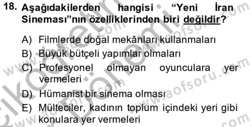 Film ve Video Kültürü Dersi 2013 - 2014 Yılı (Vize) Ara Sınav Soruları 18. Soru