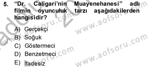 Film ve Video Kültürü Dersi 2013 - 2014 Yılı (Vize) Ara Sınav Soruları 5. Soru