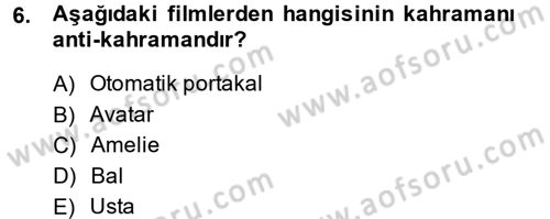 Film ve Video Kültürü Dersi 2013 - 2014 Yılı (Vize) Ara Sınav Soruları 6. Soru