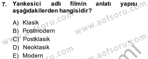 Film ve Video Kültürü Dersi 2013 - 2014 Yılı (Vize) Ara Sınav Soruları 7. Soru