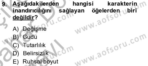 Film ve Video Kültürü Dersi 2013 - 2014 Yılı (Vize) Ara Sınav Soruları 9. Soru