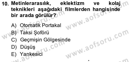 Film ve Video Kültürü Dersi 2014 - 2015 Yılı (Vize) Ara Sınav Soruları 10. Soru