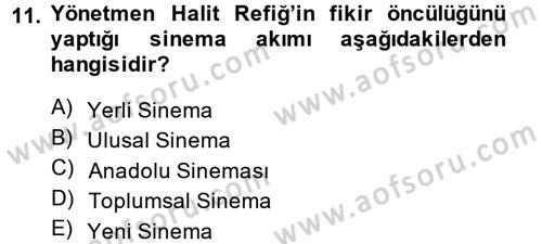 Film ve Video Kültürü Dersi 2014 - 2015 Yılı (Vize) Ara Sınav Soruları 11. Soru