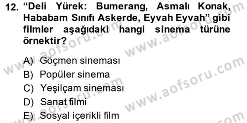 Film ve Video Kültürü Dersi 2014 - 2015 Yılı (Vize) Ara Sınav Soruları 12. Soru