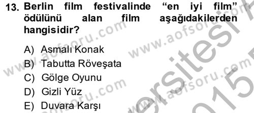 Film ve Video Kültürü Dersi 2014 - 2015 Yılı (Vize) Ara Sınav Soruları 13. Soru