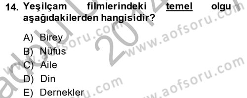 Film ve Video Kültürü Dersi 2014 - 2015 Yılı (Vize) Ara Sınav Soruları 14. Soru