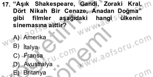 Film ve Video Kültürü Dersi 2014 - 2015 Yılı (Vize) Ara Sınav Soruları 17. Soru