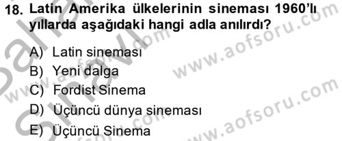 Film ve Video Kültürü Dersi 2014 - 2015 Yılı (Vize) Ara Sınav Soruları 18. Soru