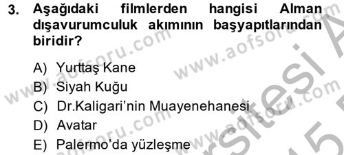 Film ve Video Kültürü Dersi 2014 - 2015 Yılı (Vize) Ara Sınav Soruları 3. Soru