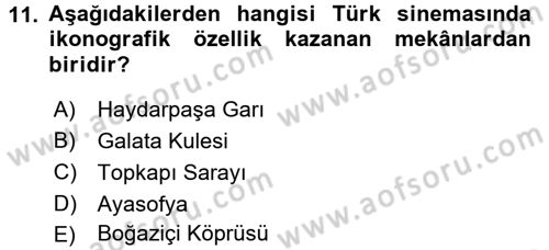 Film ve Video Kültürü Dersi 2015 - 2016 Yılı (Vize) Ara Sınav Soruları 11. Soru