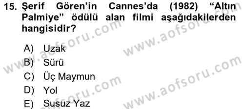 Film ve Video Kültürü Dersi 2015 - 2016 Yılı (Vize) Ara Sınav Soruları 15. Soru