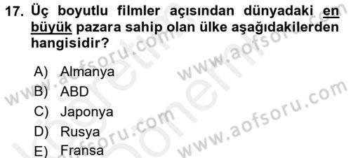 Film ve Video Kültürü Dersi 2015 - 2016 Yılı (Vize) Ara Sınav Soruları 17. Soru