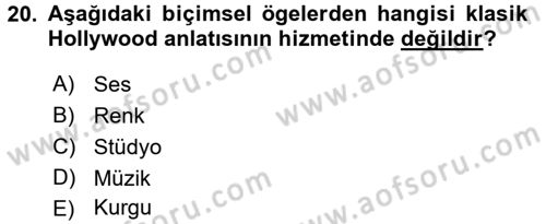 Film ve Video Kültürü Dersi 2015 - 2016 Yılı (Vize) Ara Sınav Soruları 20. Soru