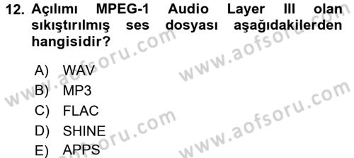 Film ve Video Kültürü Dersi 2015 - 2016 Yılı (Final) Dönem Sonu Sınav Soruları 12. Soru