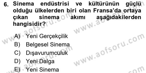 Film ve Video Kültürü Dersi 2015 - 2016 Yılı (Final) Dönem Sonu Sınav Soruları 6. Soru