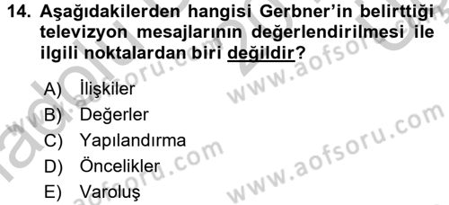 Film ve Video Kültürü Dersi 2016 - 2017 Yılı 3 Ders Sınav Soruları 14. Soru