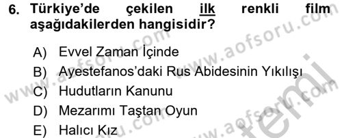 Film ve Video Kültürü Dersi 2016 - 2017 Yılı 3 Ders Sınav Soruları 6. Soru