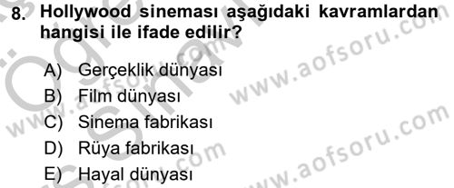 Film ve Video Kültürü Dersi 2016 - 2017 Yılı 3 Ders Sınav Soruları 8. Soru