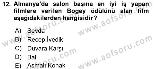 Film ve Video Kültürü Dersi 2016 - 2017 Yılı (Vize) Ara Sınav Soruları 12. Soru