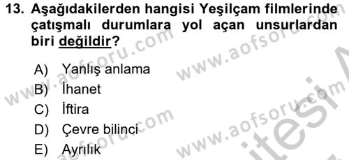 Film ve Video Kültürü Dersi 2016 - 2017 Yılı (Vize) Ara Sınav Soruları 13. Soru