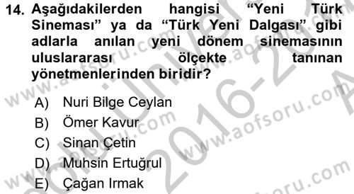 Film ve Video Kültürü Dersi 2016 - 2017 Yılı (Vize) Ara Sınav Soruları 14. Soru