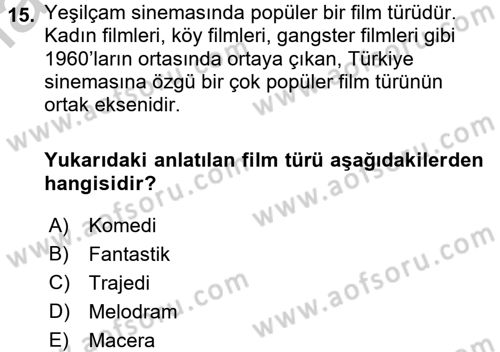 Film ve Video Kültürü Dersi 2016 - 2017 Yılı (Vize) Ara Sınav Soruları 15. Soru